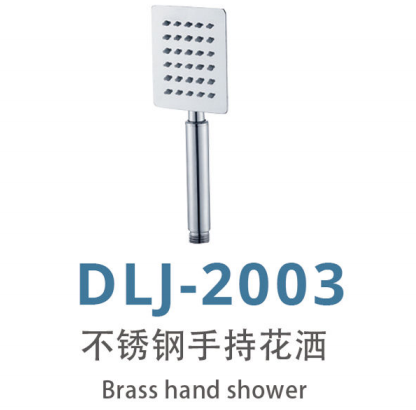 DLJ-2003 不锈钢手持花洒