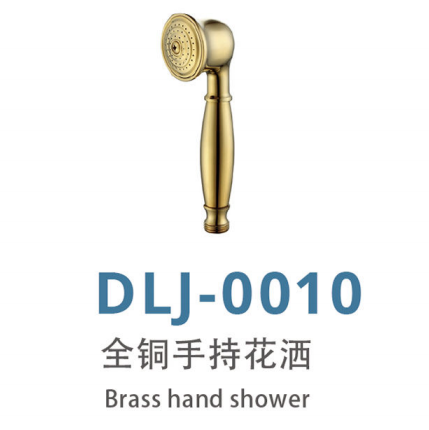 DLJ-0010 全铜手持花洒