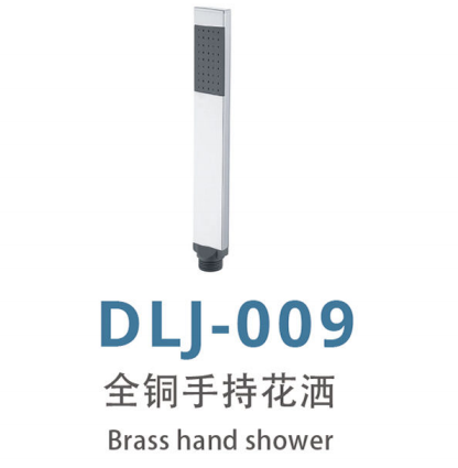 DLJ-009 全铜手持花洒