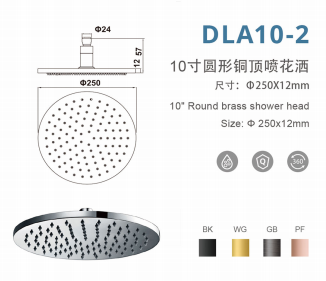DLA10-2 10寸圆形增压铜顶喷花洒