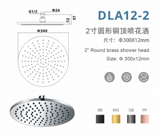 DLA12-2 12寸圆形增压铜顶喷花洒
