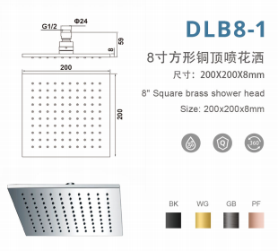 DLB8-1 8寸方形铜顶喷花洒