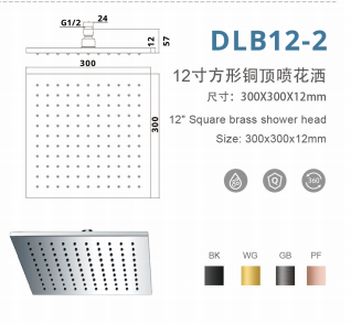 DLB12-2 12寸方形增压铜顶喷花洒