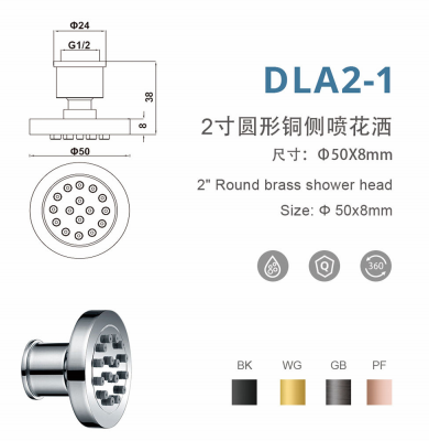 DLA2-1 2寸圆形铜侧喷花洒