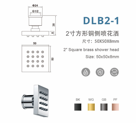 DLB2-1 2寸方形铜侧喷花洒